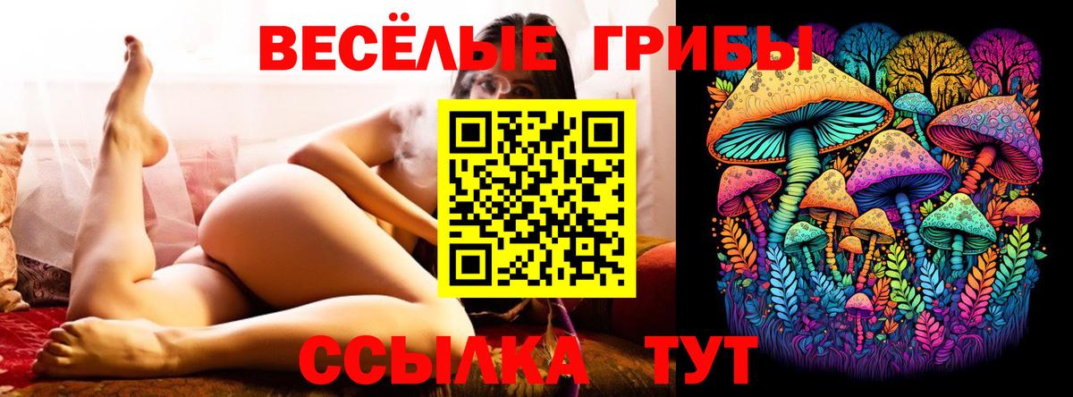 Псилоцибиновые грибы Psilocybe  Вход с VPN  Псилоцибиновые грибы прущие грибы  Александров 